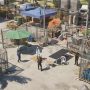 Quarantine Zone Miami Zero - arte clave
